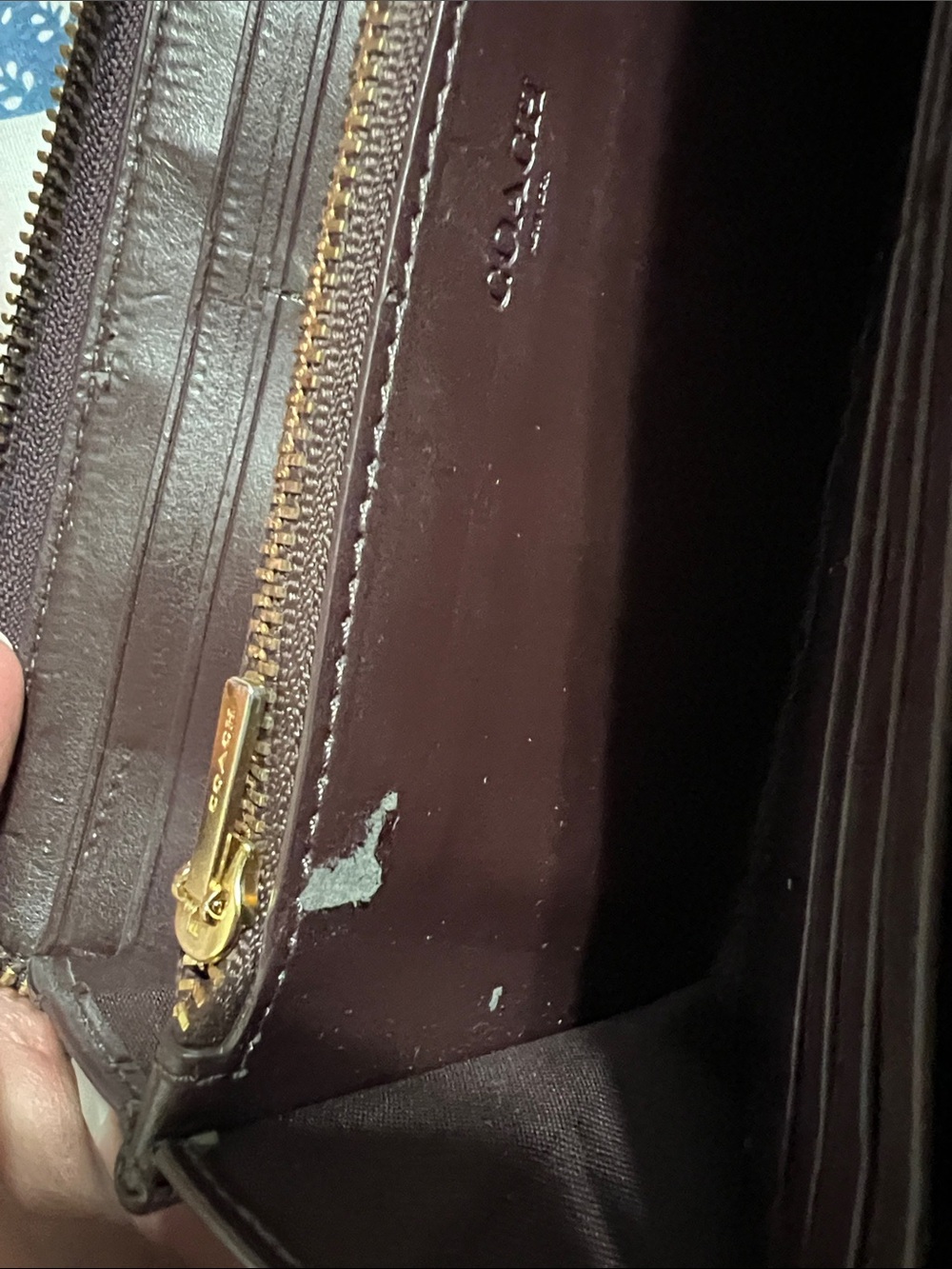 Coach Croc-Embossed Zip Wallet in Dark Brown with Gold Hardware - Picture 6 of 6